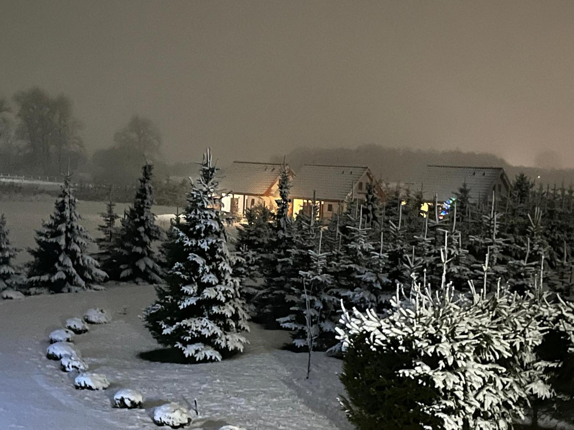 Wygodny Murowany Domek- Nowy Dąbki Exterior foto