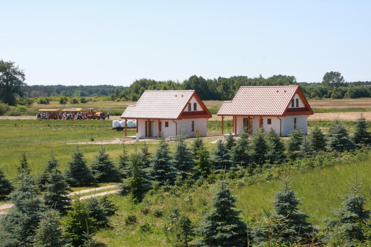 Wygodny Murowany Domek- Nowy Dąbki Exterior foto